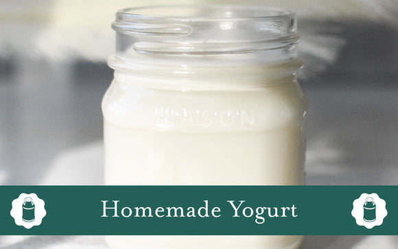 Homemade Yogurt