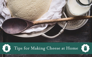 Making Cheese at Home